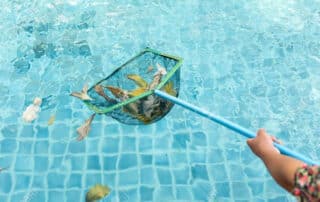 Pool Cleaning Services In Perths Northan Suburbs