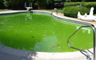 How To Clean A Green Pool