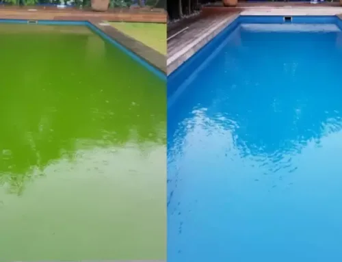 How to Fix a Green Pool Fast: 5 Effective Tips