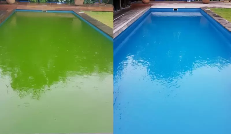 How To Fix A Green Pool