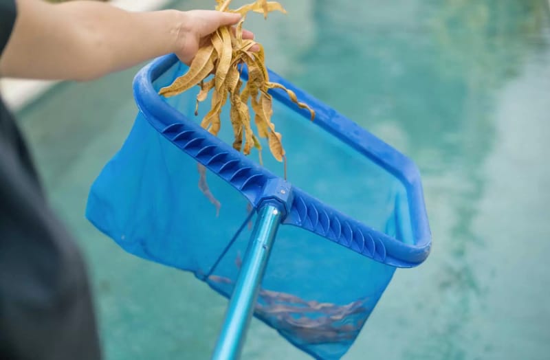 Residential Pool Cleaning Services