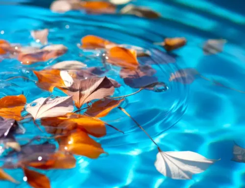 Ultimate Guide to the Best Pool Cleaner for Leaves in 2024