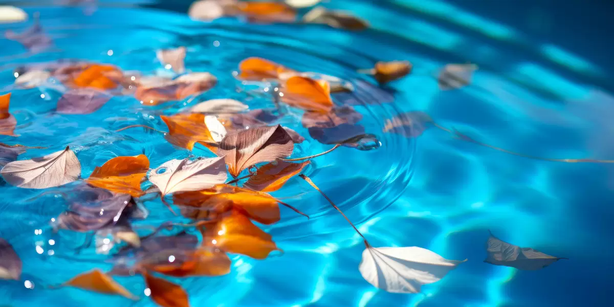 Pool Leaf Removal