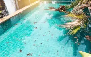 Self cleaning pool system hero image