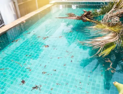 What is a Self Cleaning Pool?