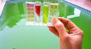 Testing Green Pool Water With A Test Kit