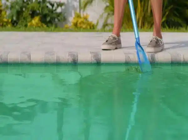Green Pool Cleaning