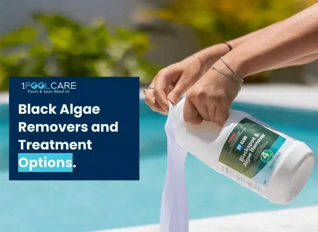 Black Algae Removers Treatments 1024x748