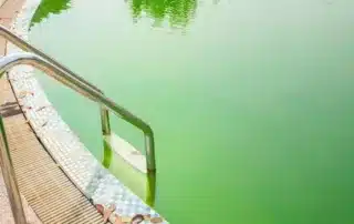 Pool Algae Faq 554x554