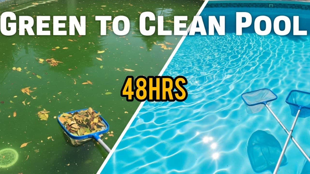 green to clean in 48 hours